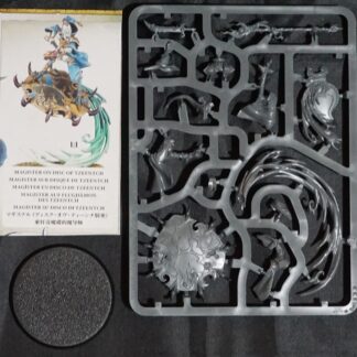 Disciples of Tzeentch Magister on Disc of Tzeentch