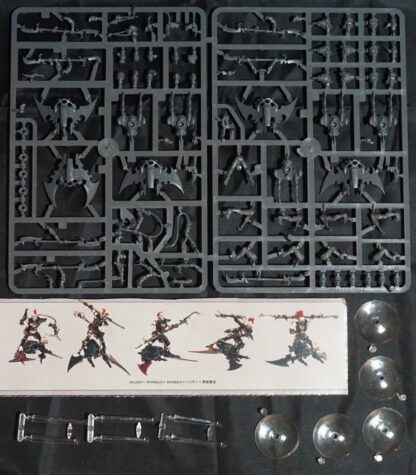Drukhari Hellions (5 Models)