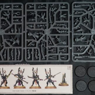 Drukhari Incubi (5 Models)