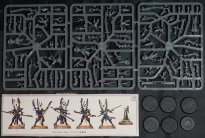 Drukhari Incubi (5 Models)