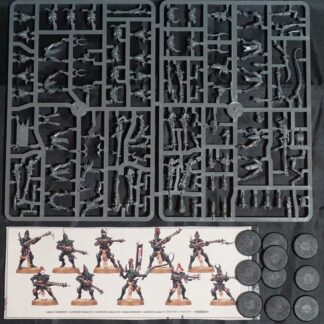 Drukhari Kabalite Warriors (10 Models)