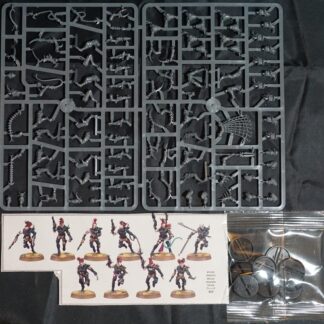 Drukhari Wyches (10 Models)