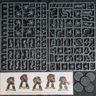 Space Marine Primaris Hellblasters (5 Models)
