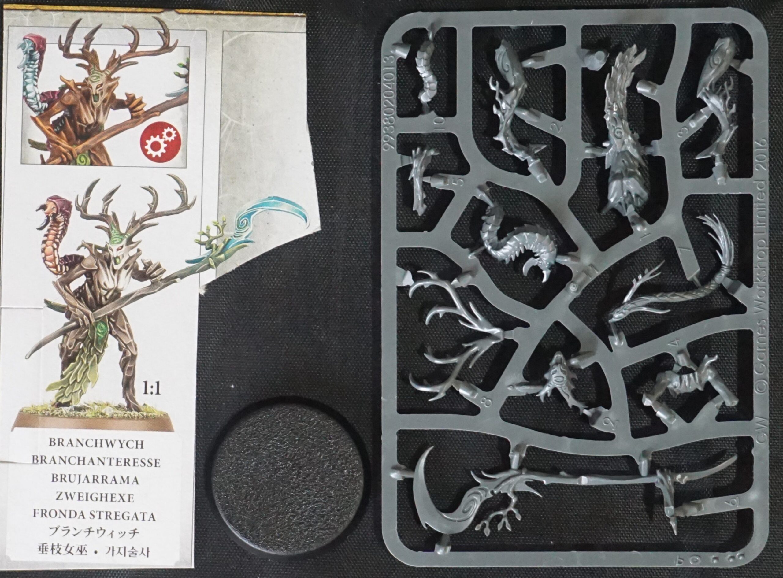 Sylvaneth Branchwych