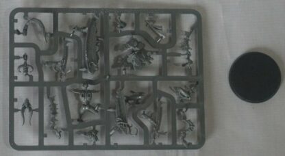 Drukhari Drazhar Master of Blades (Blood of the Phoenix)