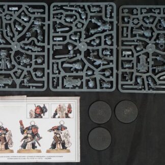 Space Marines Primaris Bladeguard Veterans (3 Models)