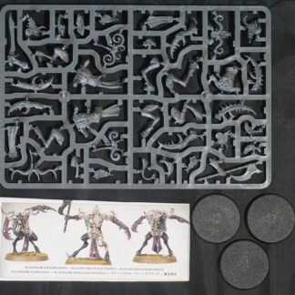 Hedonites of Slaanesh Slaangor Fiendbloods (3 Models)
