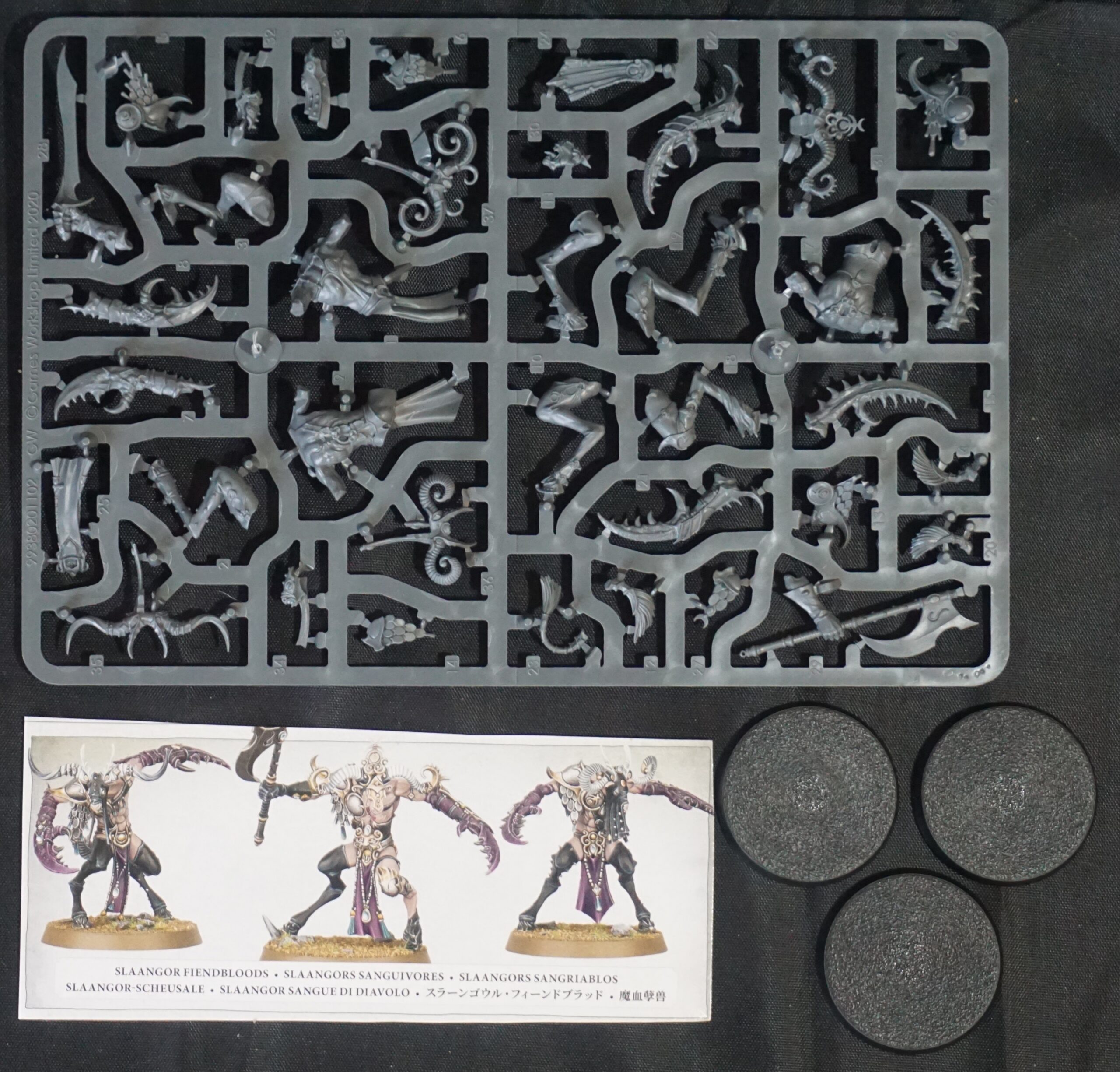 Hedonites of Slaanesh Slaangor Fiendbloods (3 Models)