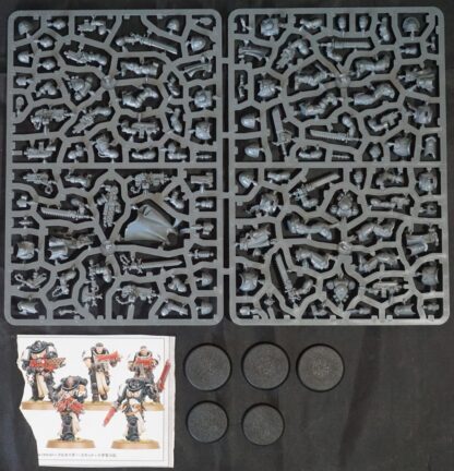 Black Templar Primaris Crusader Squad (5 Models)