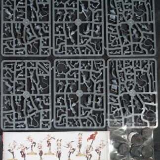 Daughters of Khaine Witch Aelves or Sisters of Slaughter (10 Models)