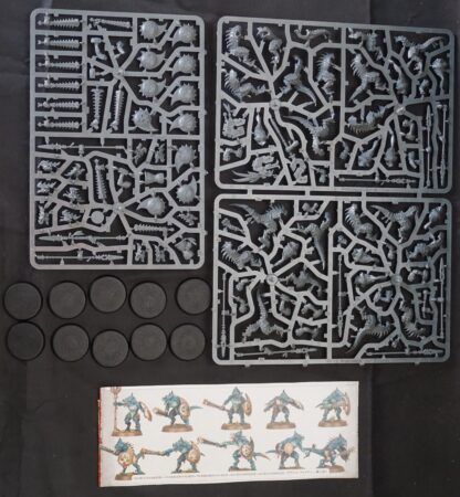Seraphon Saurus Warriors (10 Models)