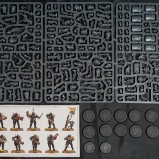 Imperial Agents Viglant Squad (12 Models)