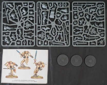 Space Marine Primaris Blood Angels Sanguinary Guard (3 Models)