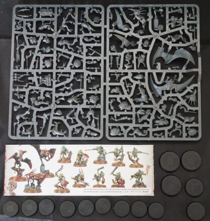 Seraphon Hunters of Huanchi (13 Models)