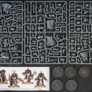 Black Templar Primaris Sword Brethren (5 Models)