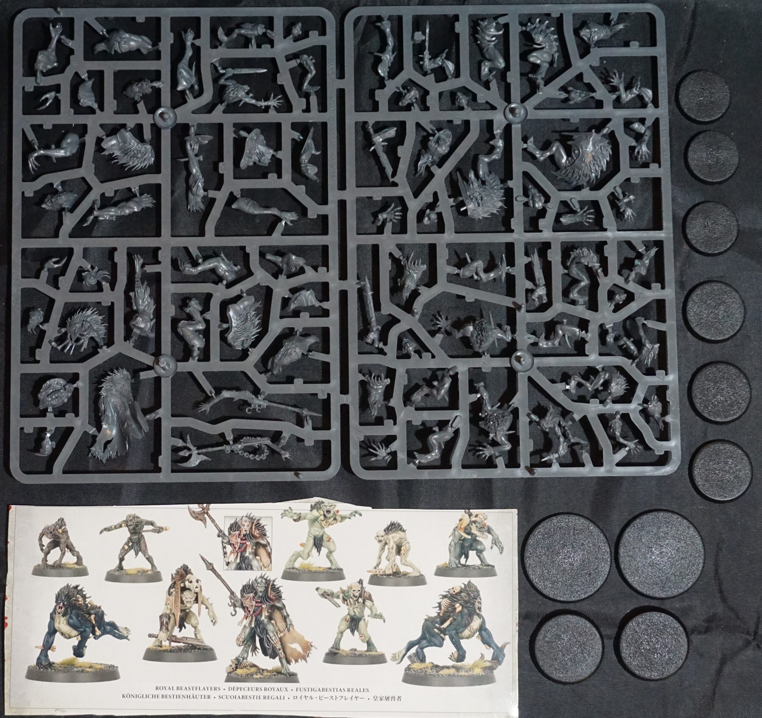 Flesh-Eater Courts Royal Beastflayers (10 Models)